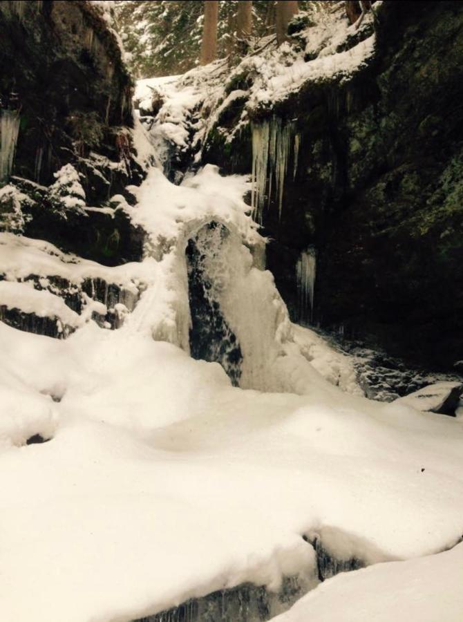 Wasserfallhuette Saalbach Eksteriør billede